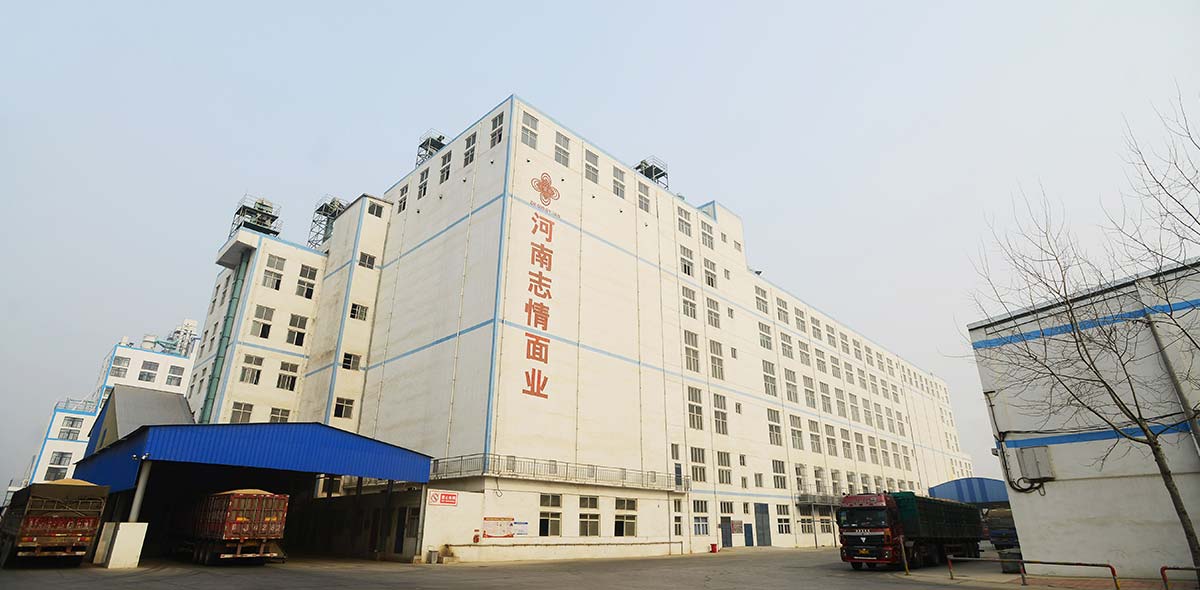 Пшеничный завод 1400TPD в Китае