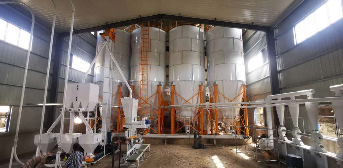Проект по переработке пшеницы под ключ в Эфиопии 220 тонн в сутки