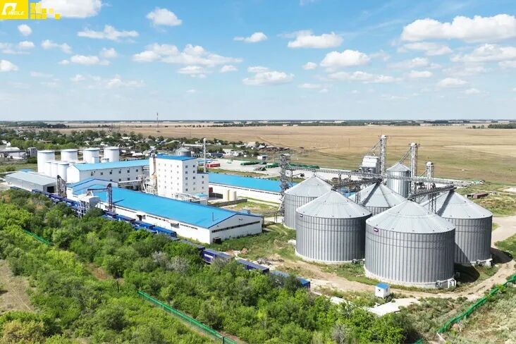 Международный рынок